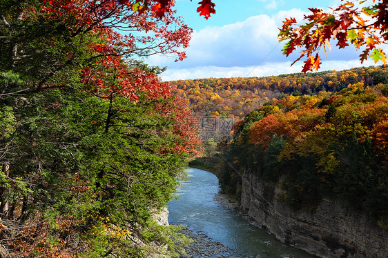 莱奇沃思州立公园的河流森林的秋天景象图片