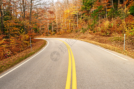 秋天的景象与森林中的道路图片