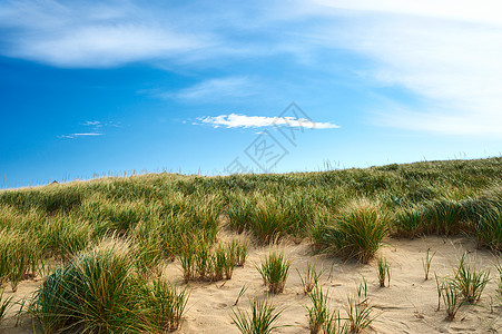 美国马萨诸塞州科德角沙丘景观图片