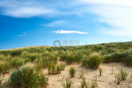 美国马萨诸塞州科德角沙丘景观图片