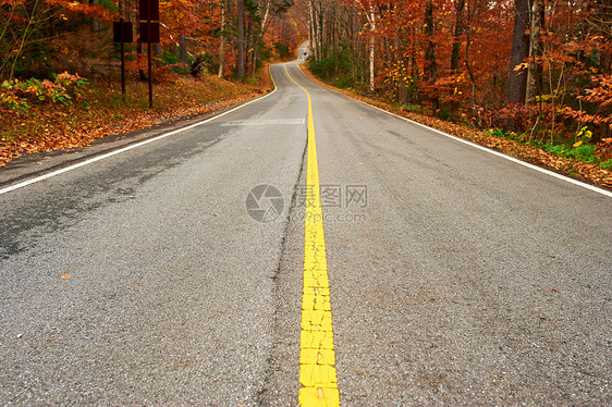 秋天的景象与森林中的道路图片