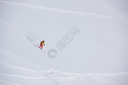 极限自由滑雪滑雪者滑雪新鲜的粉末雪下坡冬季山脉图片