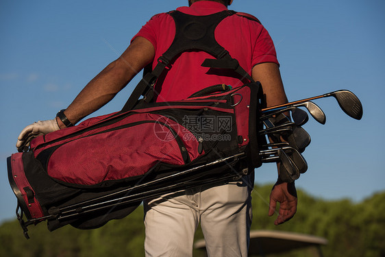 高尔夫球手背部,同时携带高尔夫球袋,并球场上步行下个洞图片