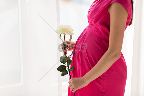 怀孕,母亲,人,假期期望密切孕妇与白色玫瑰花家图片