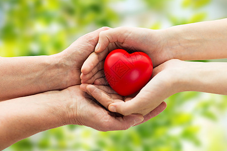 人,龄,家庭,爱健康的亲密的老妇女轻妇女的手握着红色的心绿色的自然背景图片
