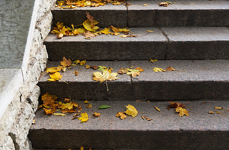 秋天,季节自然的落石头楼梯上的枫叶图片