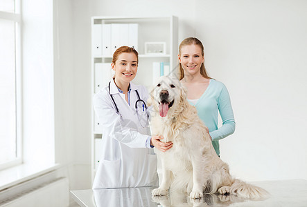 医学,宠物,动物,保健人的快乐的女人与黄金猎犬兽医医生兽医诊所背景图片