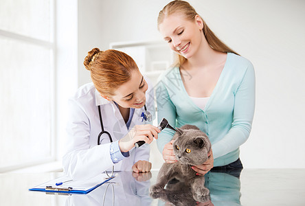 医学,宠物,动物,保健人的快乐的妇女兽医医生与耳镜检查英国猫耳朵兽医诊所图片