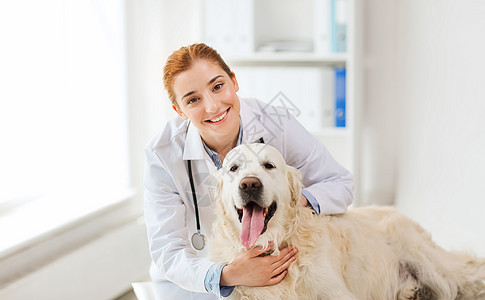 医学,宠物,动物,保健人的快乐的兽医医生与黄金猎犬兽医诊所图片