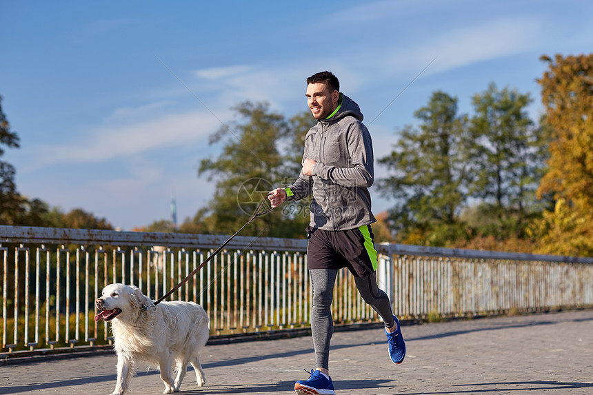 健身,运动,人,宠物生活方式的快乐的人与拉布拉多猎犬户外跑步高清图片下载正版图片300574410摄图网