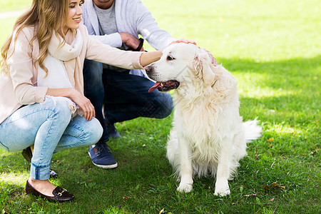 家庭,宠物,动物人的亲密的幸福夫妇与拉布拉多猎犬城市公园散步图片