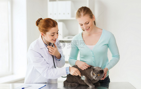 医学,宠物,动物,保健人的快乐的妇女兽医医生用听诊器检查英国猫兽医诊所图片