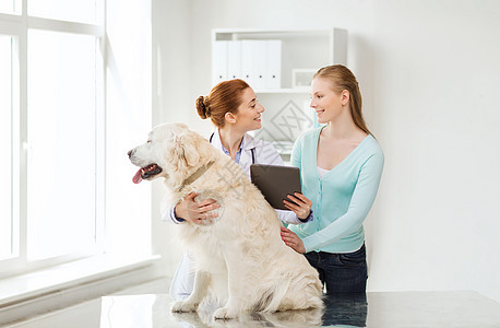 医学,宠物,保健,技术人的快乐的女人与黄金猎犬兽医医生持平板电脑兽医诊所图片
