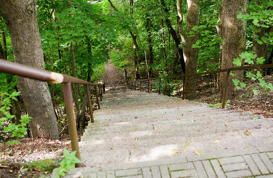 自然,季节环境楼梯夏季森林公园图片