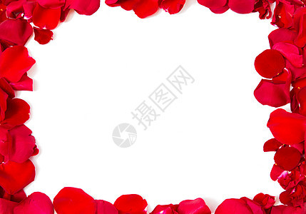 爱情,浪漫,情人节假期的红玫瑰花瓣空白框架图片
