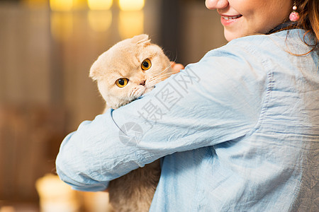 宠物,动物,护理人的亲密的快乐女人抱着苏格兰折叠小猫家里图片