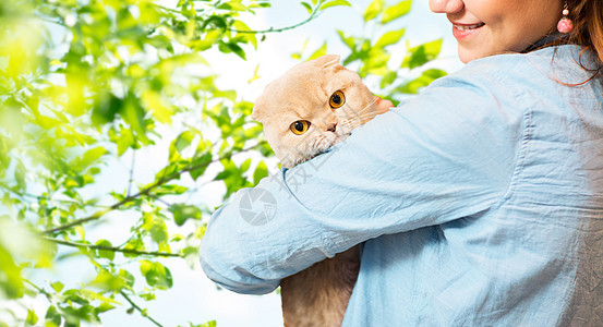 宠物,动物,护理人的亲密的快乐女人抱着苏格兰折叠小猫自然绿色的背景图片