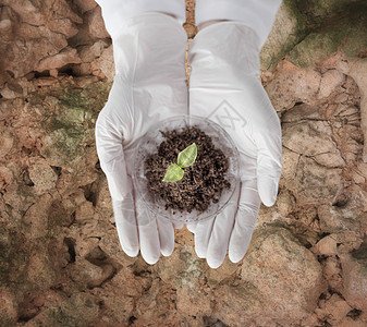 科学,生物学,生态学,研究人的密切科学家的手培养皿与植物土壤样品干燥的地球背景图片