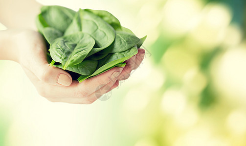 健康的饮食,节食,素食人的近距离的女人手菠菜绿色的自然背景图片