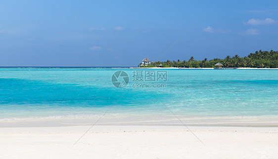 旅游,度假暑假的马尔代夫岛海滩与棕榈树别墅图片