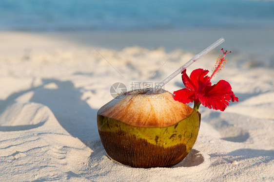 旅游,度假暑假的椰子饮料异国情调的热带马尔代夫海滩图片