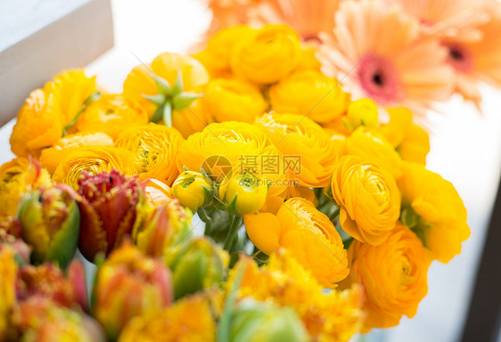 园艺,花卉,销售,假日植物美丽的黄色毛花花店图片