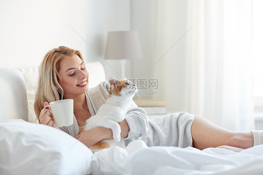 宠物,早上,舒适,休息人们的快乐的轻女人,咖啡杯猫床上家图片