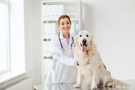 医学,宠物,动物,保健人的快乐的兽医医生与黄金猎犬兽医诊所图片