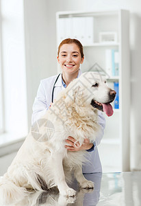 医学,宠物,动物,保健人的快乐的兽医医生与黄金猎犬兽医诊所图片