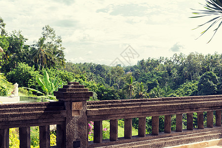 旅游旅游度假观光旅游带石栅栏的阳台热带树林酒店别墅公园图片