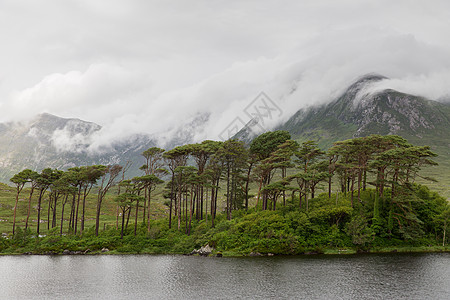 自然景观爱尔兰山谷的湖泊河流中的岛屿爱尔兰的湖泊河流中观看岛屿图片