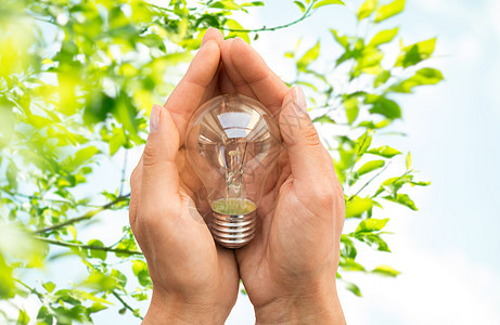 回收电力环境生态绿色的自然背景下,手握灯泡白炽灯图片