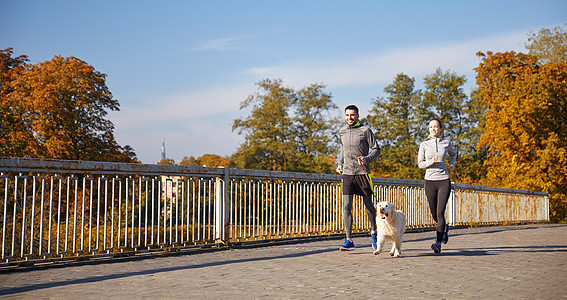 健身,运动,人慢跑的快乐的夫妇与狗户外跑步图片