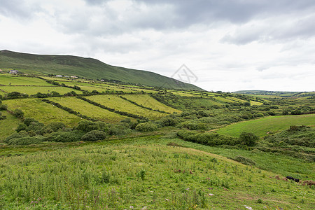 自然,农业,农村景观查看农田山丘野生大西洋方式爱尔兰图片