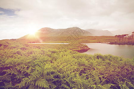 自然景观爱尔兰山谷的湖泊河流中的岛屿爱尔兰的湖泊河流中观看岛屿图片