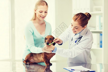 医学,宠物,动物,保健人的快乐的女人与达奇森德兽医医生刷牙牙刷兽医诊所图片