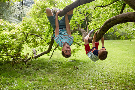 友谊,童,休闲人的两个快乐的孩子朋友倒挂树上,夏天的公园里玩得很开心图片