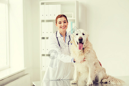 医学,宠物,动物,保健人的快乐的兽医医生与黄金猎犬兽医诊所图片