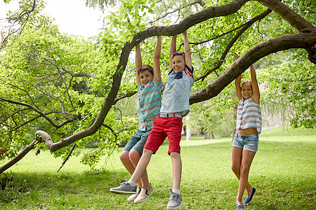 友谊,童,休闲人的群快乐的孩子朋友挂树上,夏天的公园里玩得很开心图片