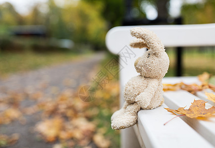 季节,童孤独的孤独的玩具兔子秋天公园的长凳上图片