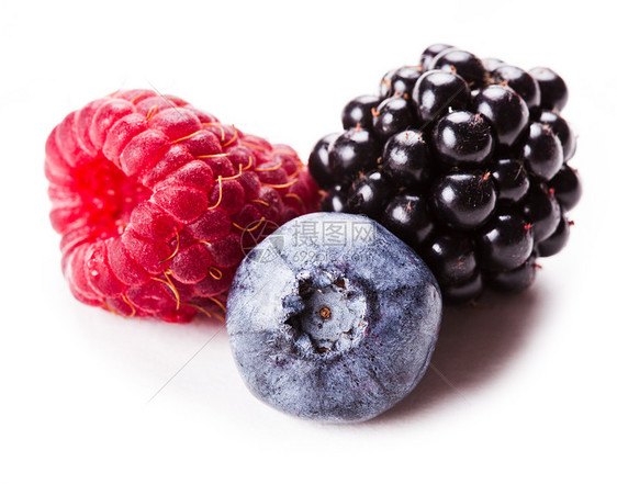 夏季野生浆果分离白树莓,黑莓蓝莓图片