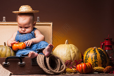 可爱的婴儿南瓜的背景上摆姿势感恩节的问候明信片感恩节图片