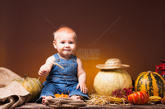 可爱的婴儿,手里着麦穗,摆南瓜的背景上明信片感恩节图片