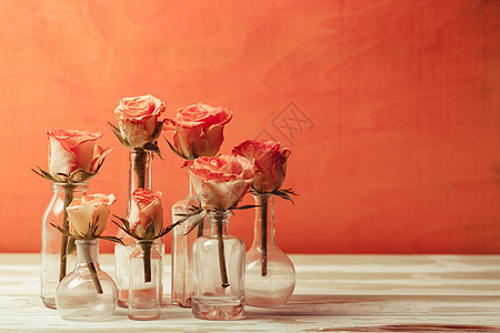 老式瓶子里的粉红色玫瑰,家居装饰图片