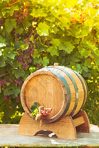 户外桌子上酒的木桶酒庄文化木桶背景图片