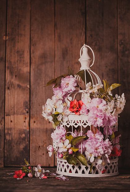 鸟笼,春花樱花水果花带的婚礼装饰品木心的鸟笼图片