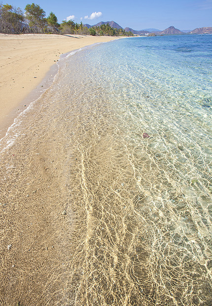 热带海滩干净的海水图片