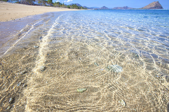 热带海滩干净的海水图片