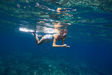 轻的女人热带水中浮潜背景图片