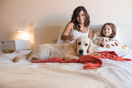 狗睡觉金色猎犬小狗床上与人类家庭专注于狗背景